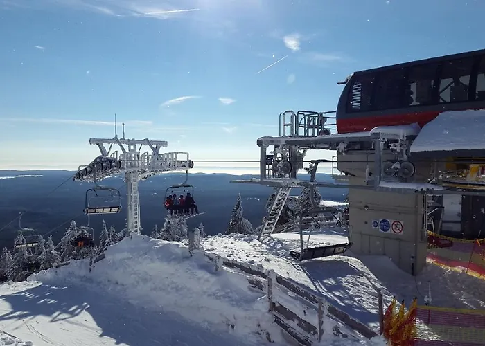 Strandberg's Designhotel Viktoria 4*